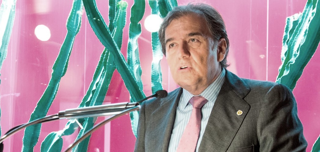 Del Castillo: “Clavijo será el presidente que reconcilie interés público y privado